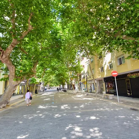 Apartamento 1 Dormitorio Denia